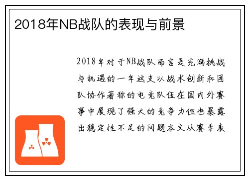 2018年NB战队的表现与前景
