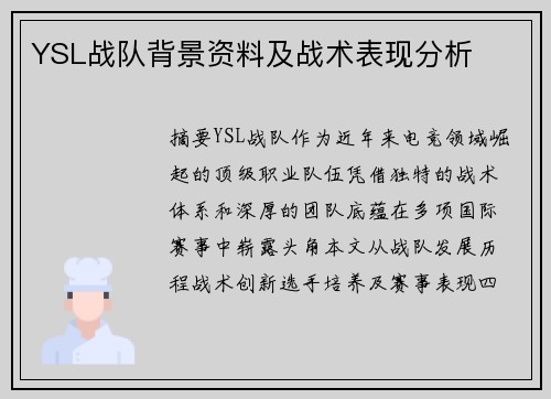 YSL战队背景资料及战术表现分析